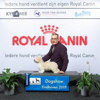 Afbeelding invoegen